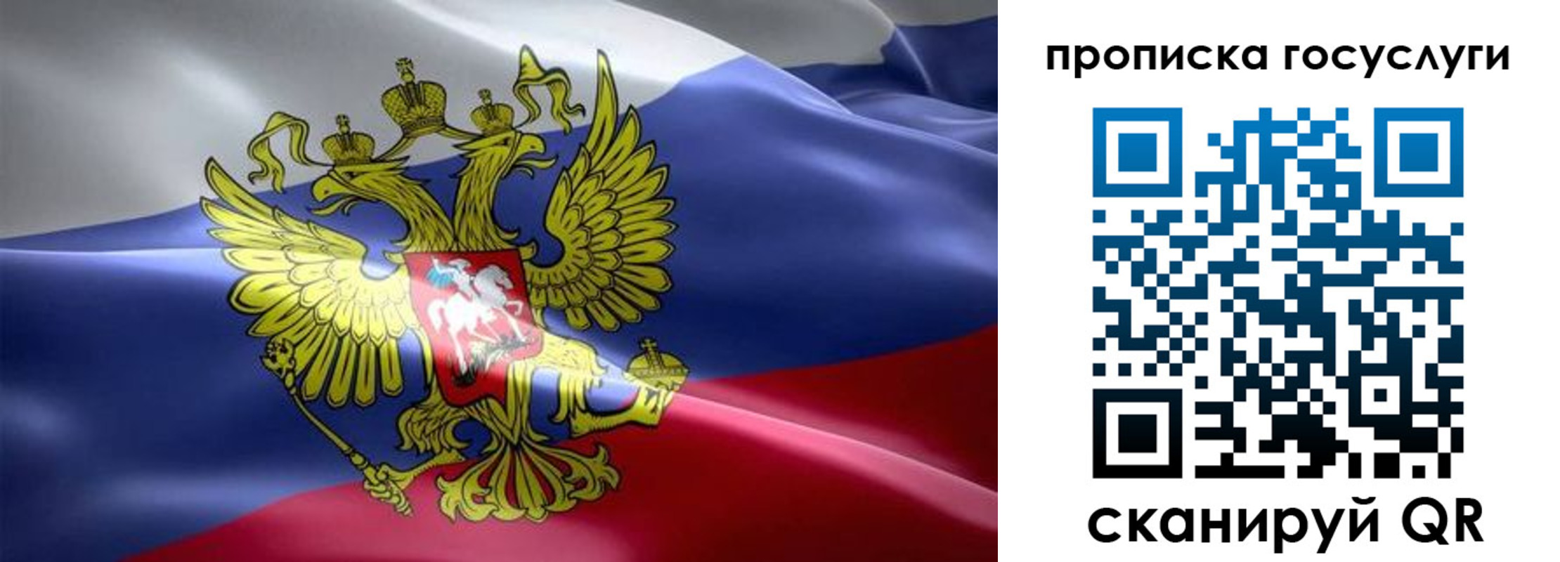прописка законно в Нововоронеже